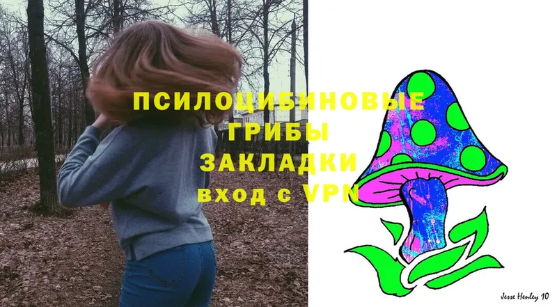 Галлюциногенные грибы Magic Shrooms  Бородино 